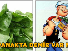 ıspanakta demir vitamini var mı