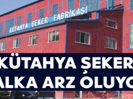 kütahya şeker halka arz