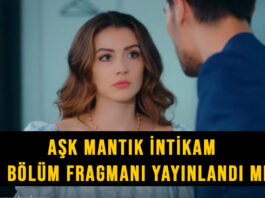 Aşk mantık intikam