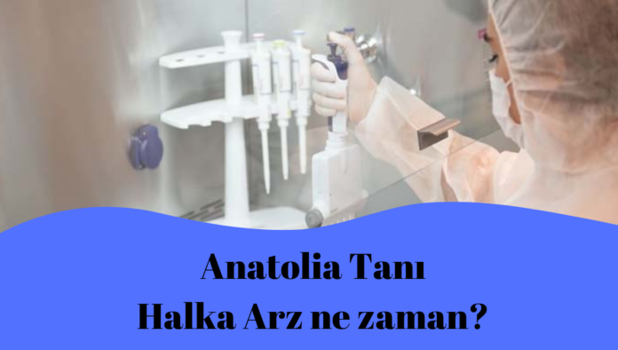 angen anatolia tanı halka arz ne zaman